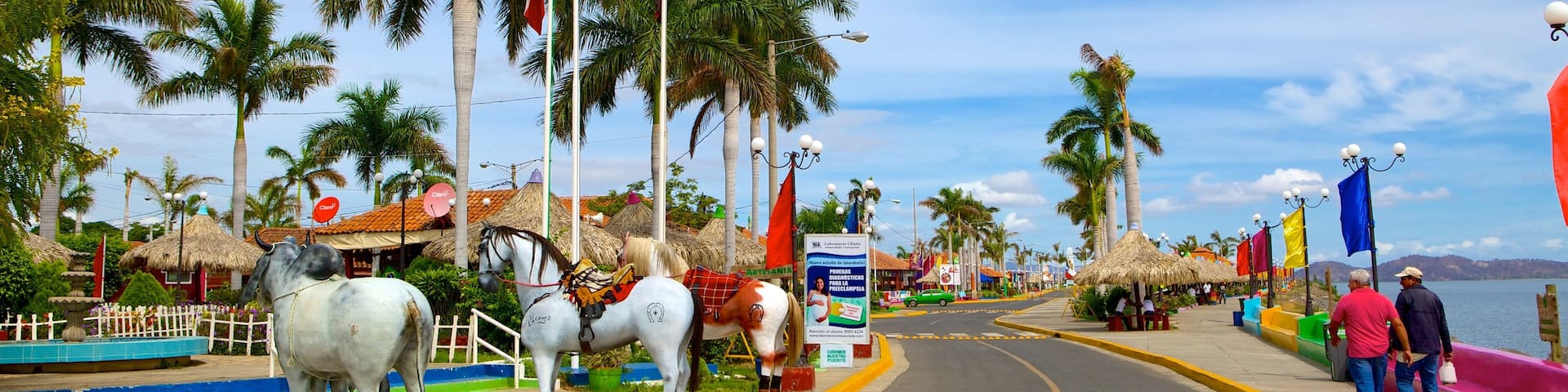 Western Nicaragua which includes tropical scenes, a coastal town and street scenes