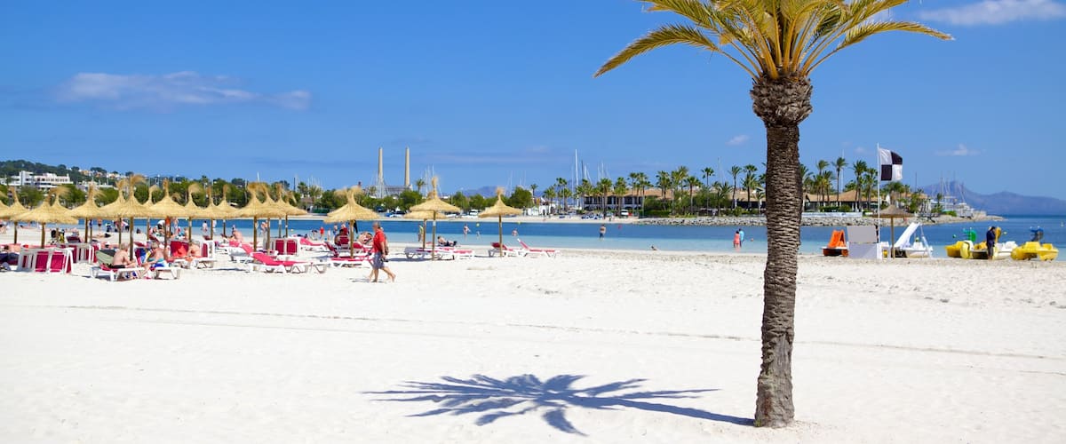 Alcudia mettant en vedette scĂšnes tropicales et plage de sable