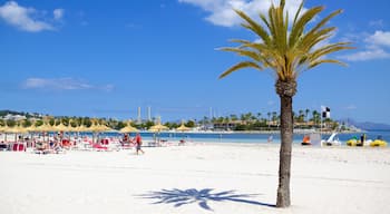 Alcudia which includes tropical scenes and a sandy beach