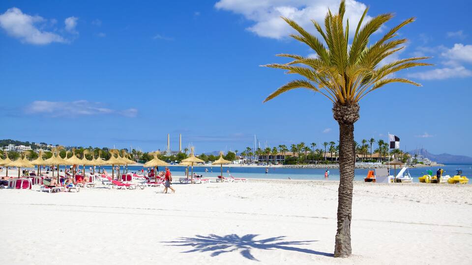 Alcudia cho thấy bãi biển cát và quang cảnh miền nhiệt đới