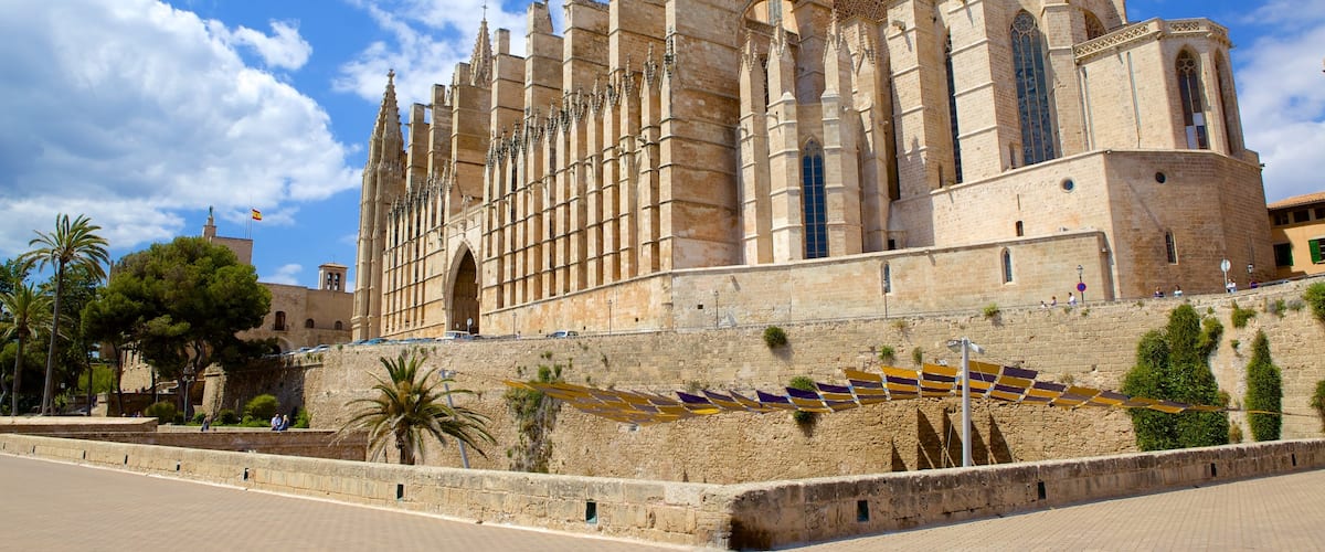 Kathedraal van Mallorca inclusief een kerk of kathedraal, religieuze elementen en historische architectuur