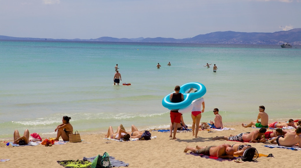 El Arenal showing a beach as well as a large group of people