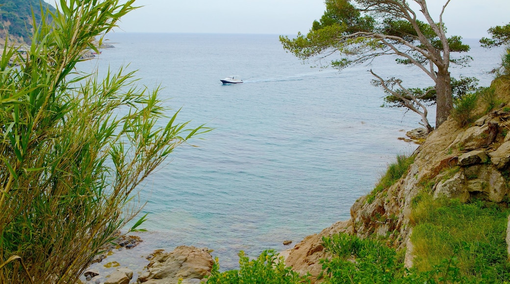 Llafranc showing rugged coastline