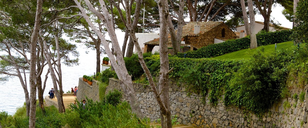 Llafranc