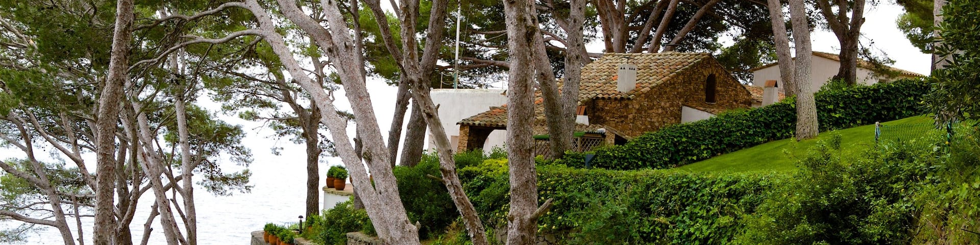 Llafranc