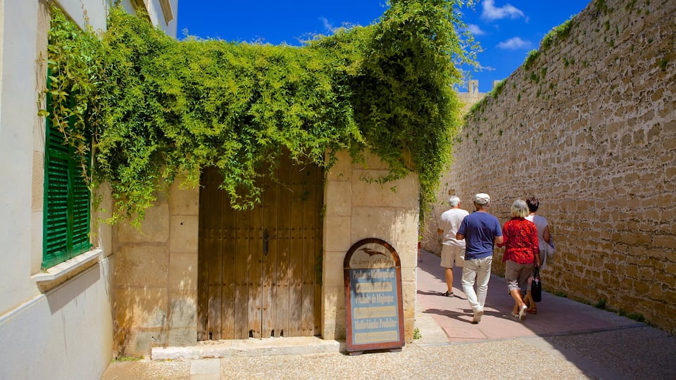 Alcudia which includes heritage architecture