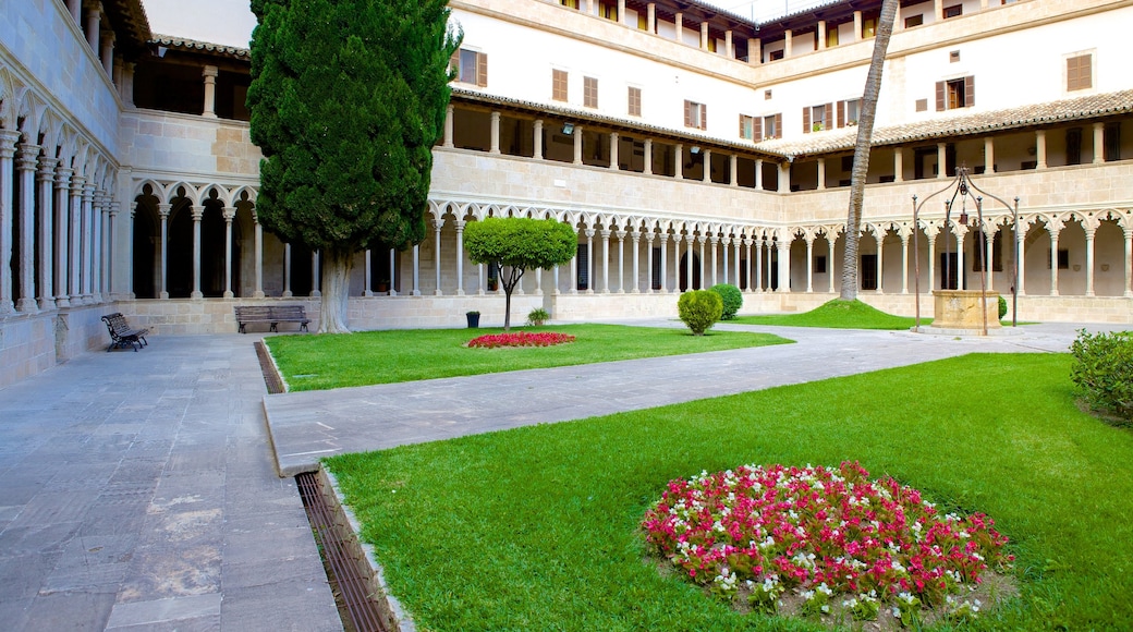 Basilica of St. Francis featuring a park