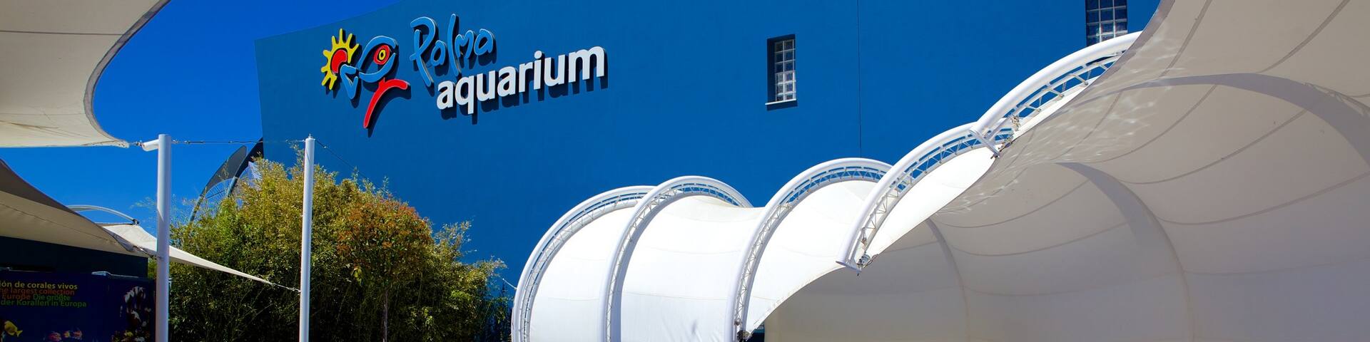 パルマ水族館 どの含み 海洋生物 と 屋外アート