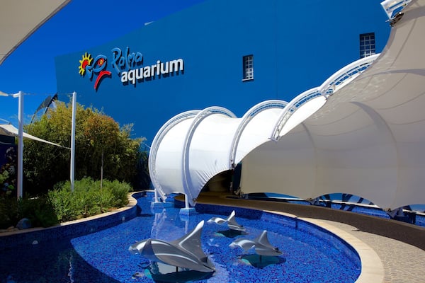 Palma Aquarium mit einem Meeresbewohner und Outdoor-Kunst