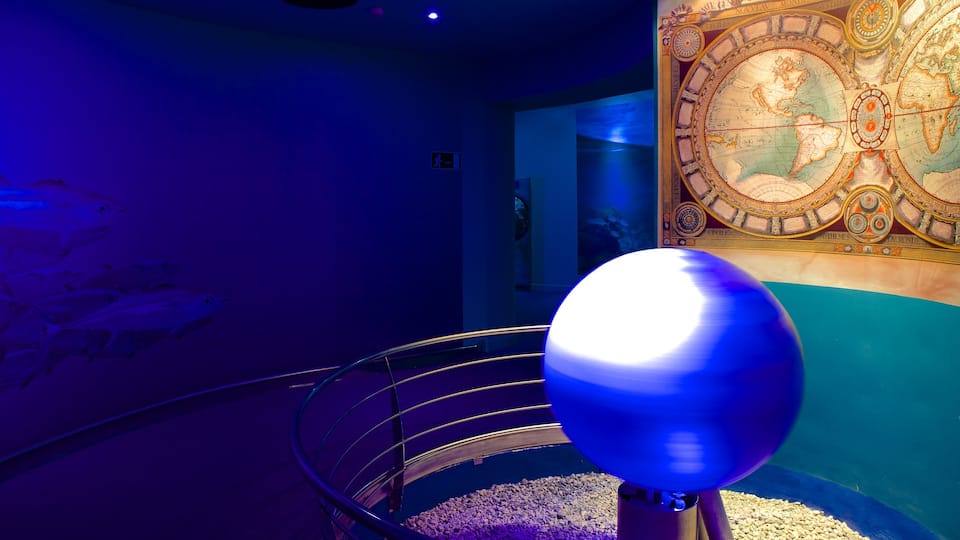Palma Aquarium showing interior views and marine life