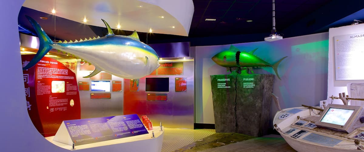 Aquarium de Palma qui includes vues intérieures et vie marine