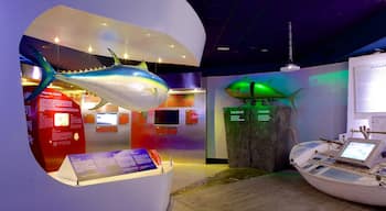 Palma Aquarium toont zeedieren en interieur