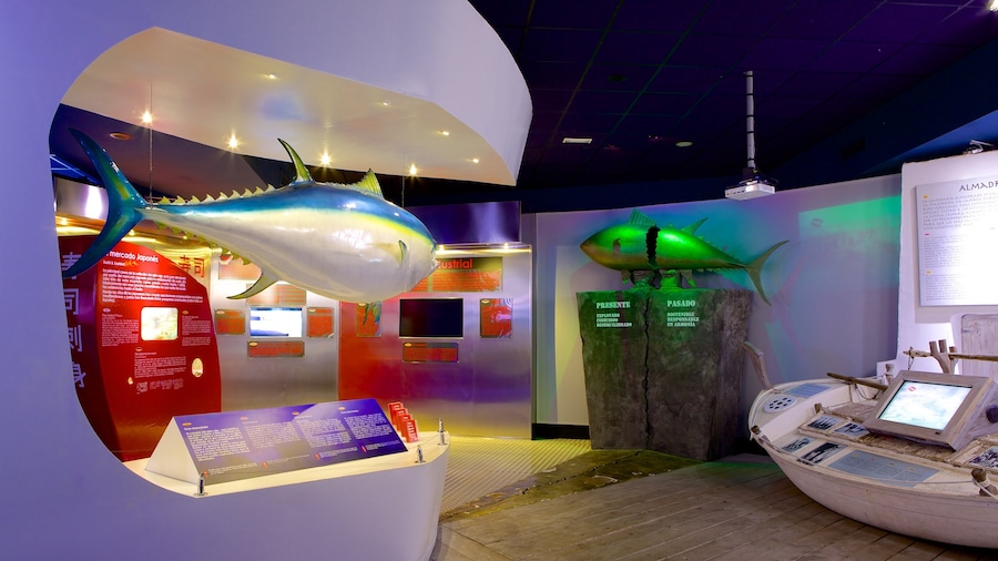 Palma Aquarium showing marine life and interior views
