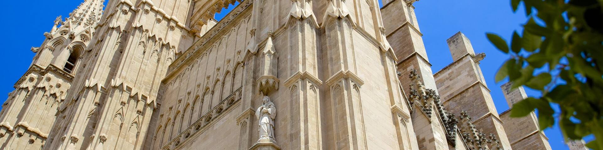 Mallorca Cathedral which includes religious aspects, a church or cathedral and heritage architecture