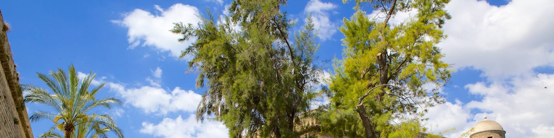 エス バラード フィーチャー 遺跡 と ストリート シーン