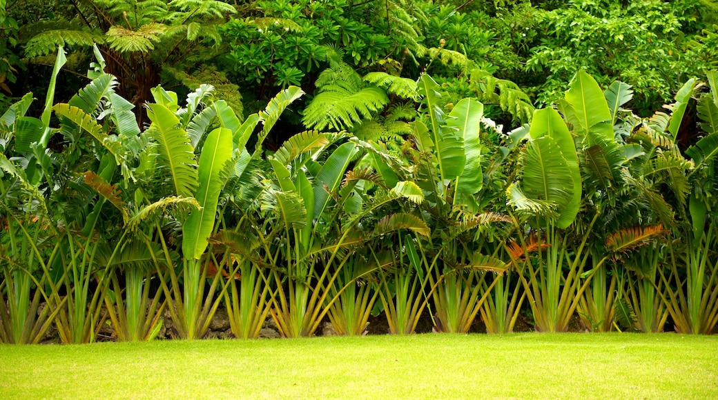 Ryukyu Mura showing a garden