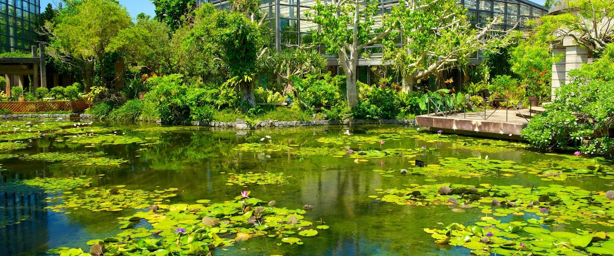 Okinawa showing modern architecture, a park and a pond