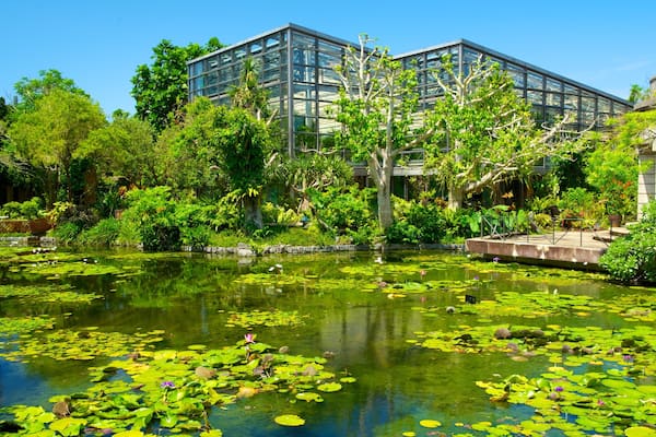 沖縄 表示 池, 現代建築 と 公園