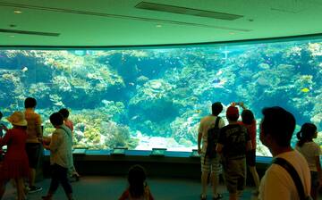 Visit Okinawa Churaumi Aquarium in Motobu | Expedia