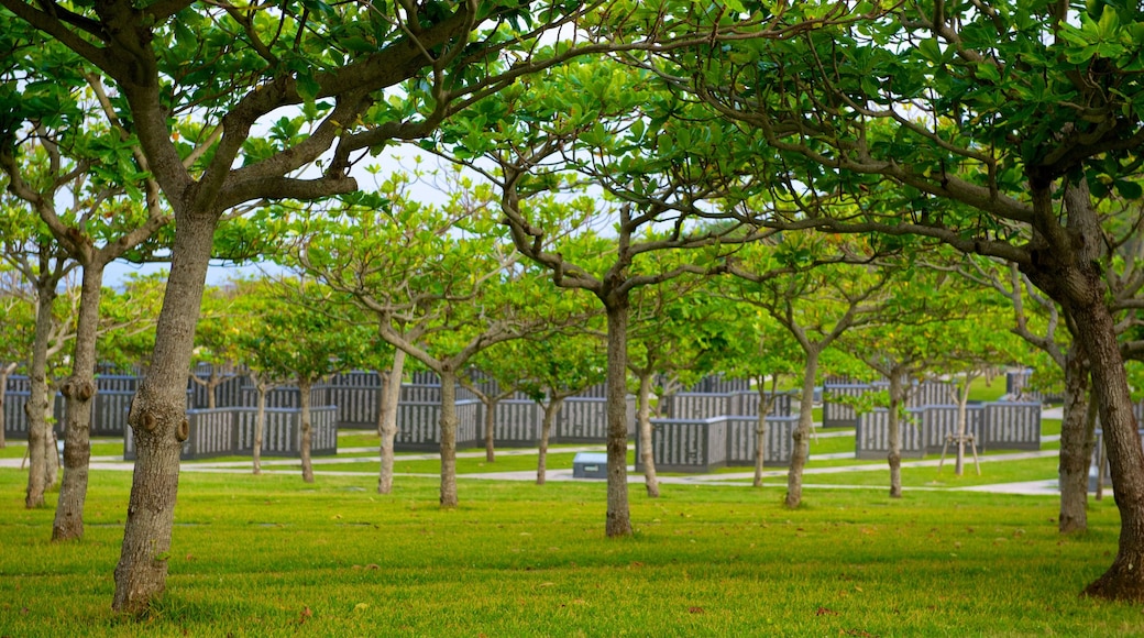 Parque da Paz de Okinawa mostrando um parque