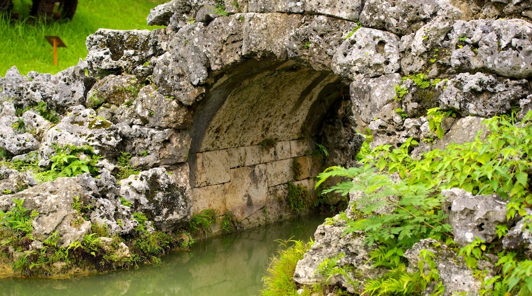 Shikinaen Garden showing a pond and a bridge