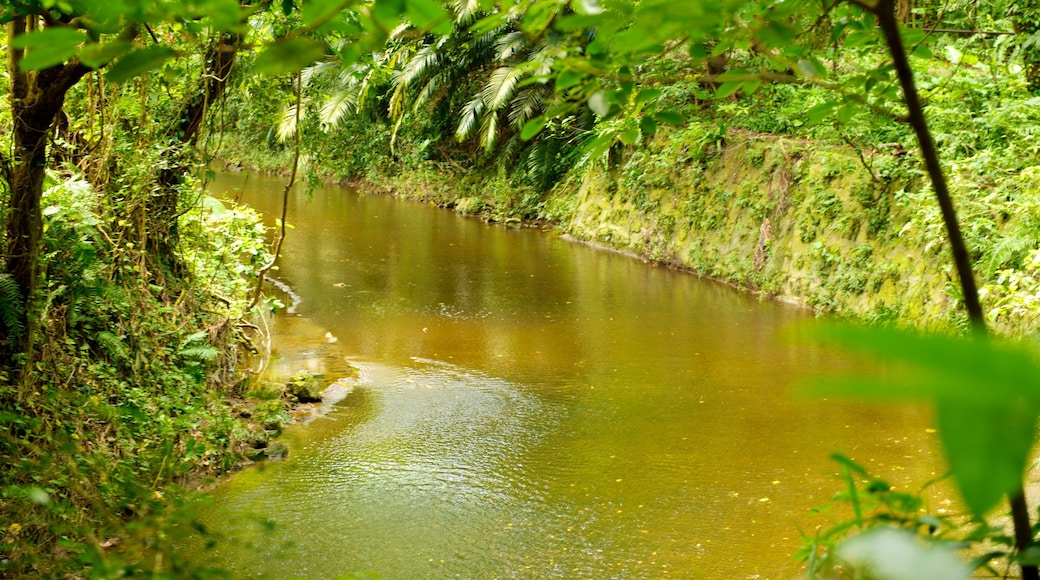 Okinawa showing a river or creek