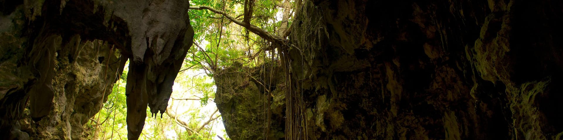 Okinawa featuring caves