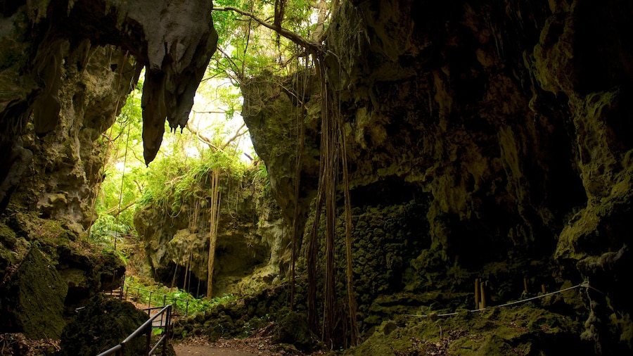 Okinawa mostrando cuevas