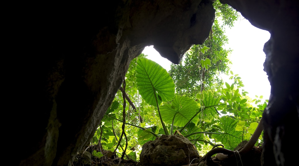 Okinawa