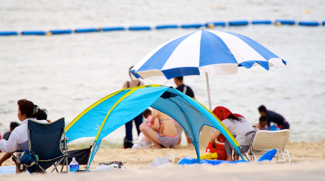 Okinawa featuring a sandy beach