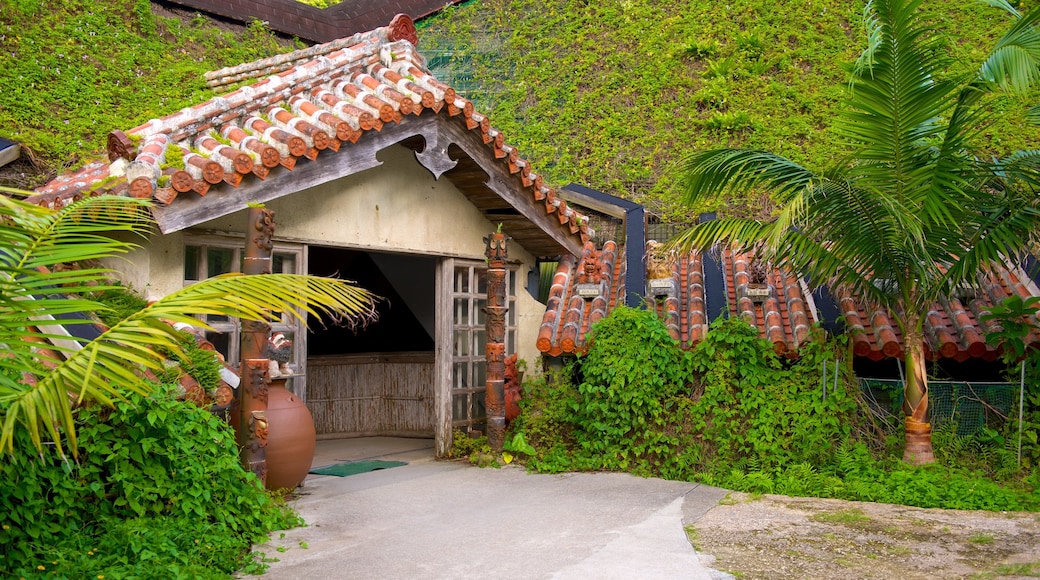 Ryukyu Mura showing heritage architecture