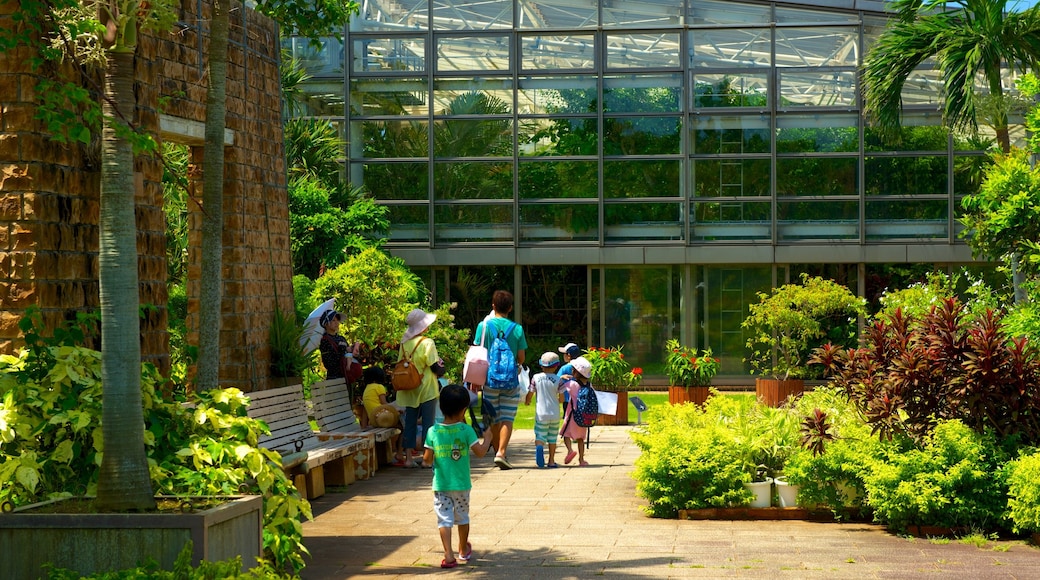 Okinawa which includes a garden