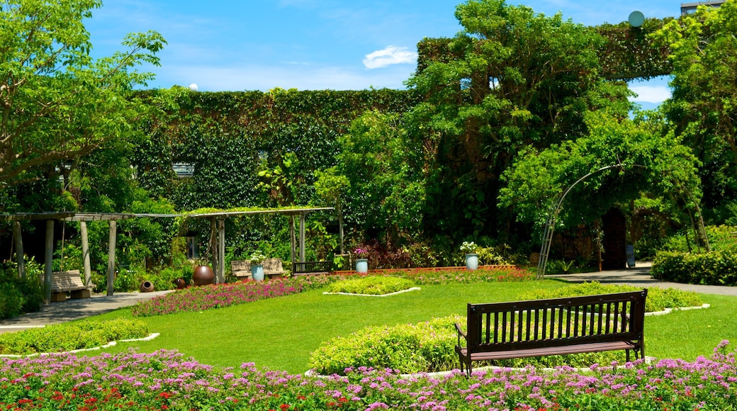 Okinawa featuring a garden