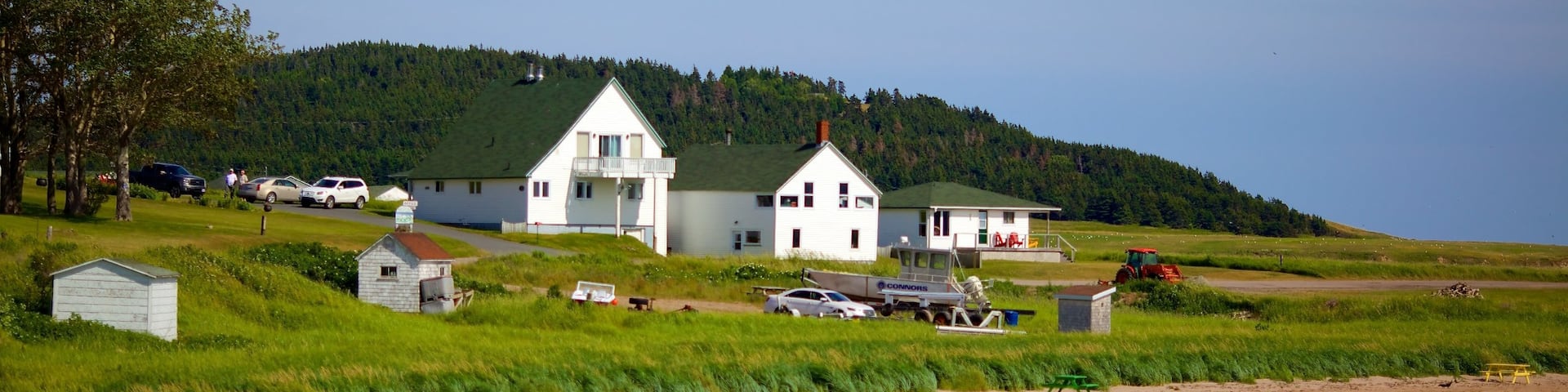 Ingonish showing a house and a sandy beach