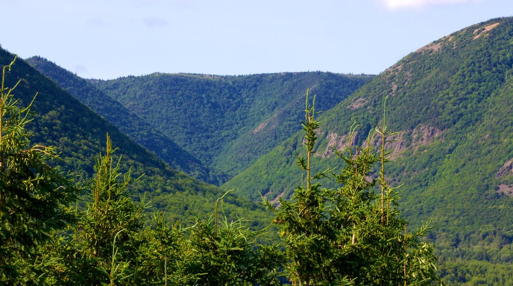 Nationaal park Cape Breton Highlands toont bergen