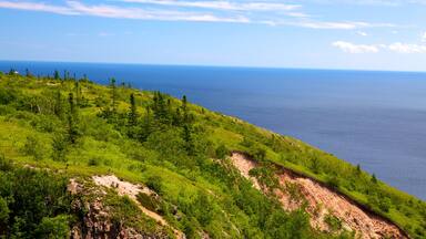 Cape Smokey featuring general coastal views