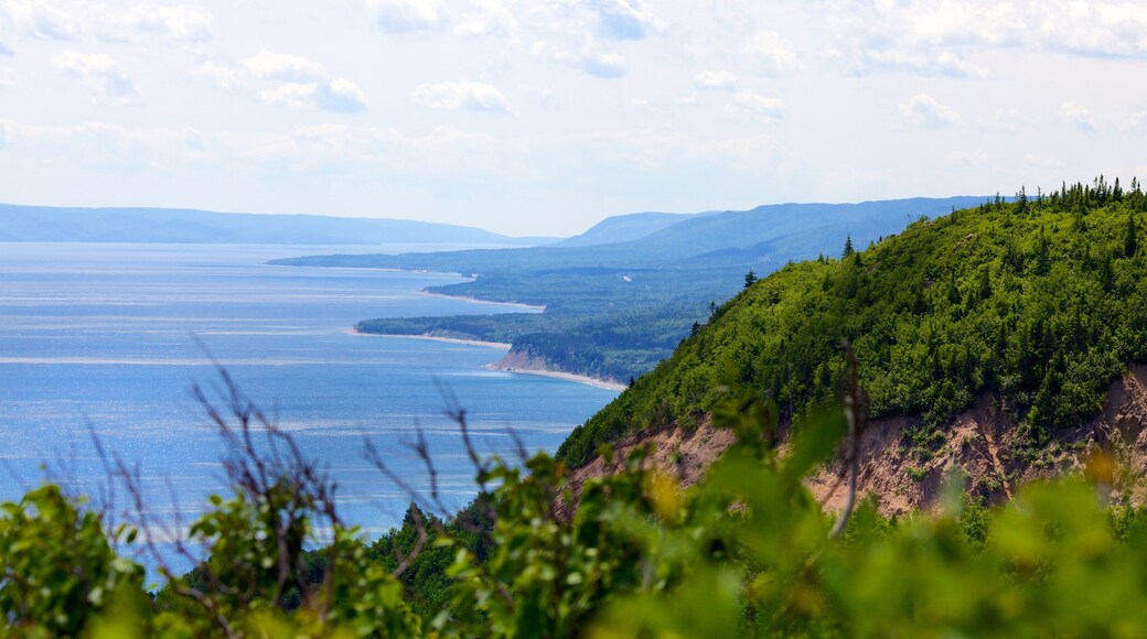 Cape Smokey montrant vues littorales