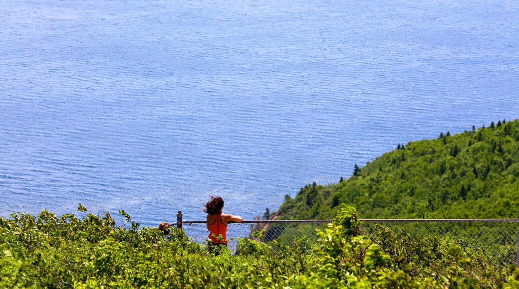 Cape Smokey showing general coastal views