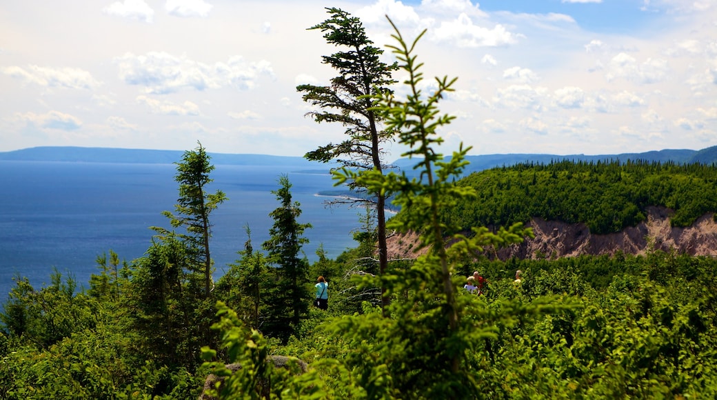 Cape Smokey toont algemene kustgezichten