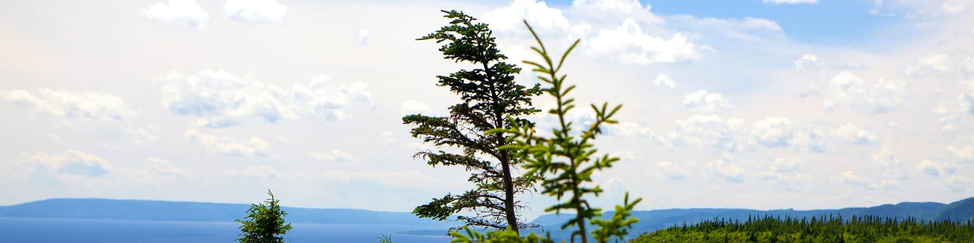 Cape Smokey featuring general coastal views