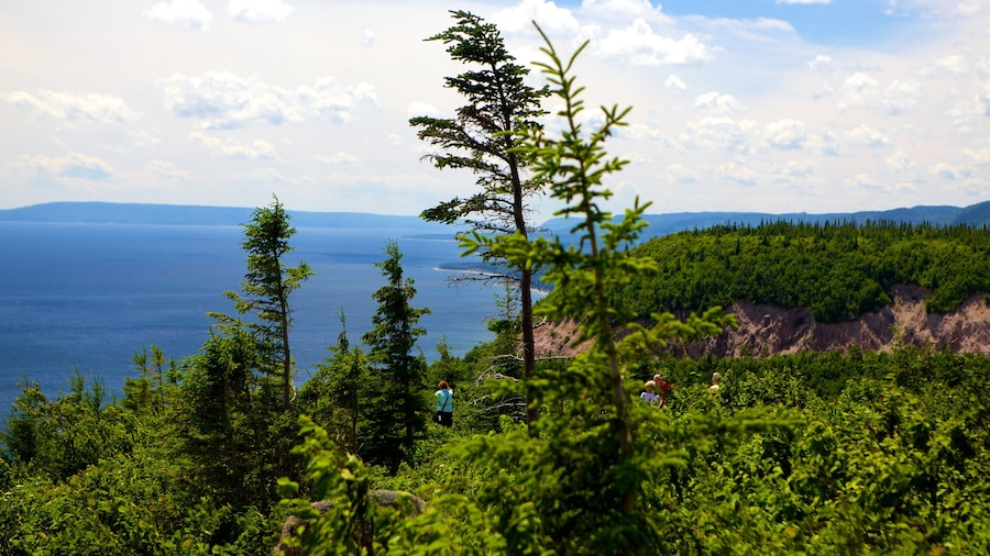 Cape Smokey ofreciendo vistas de una costa