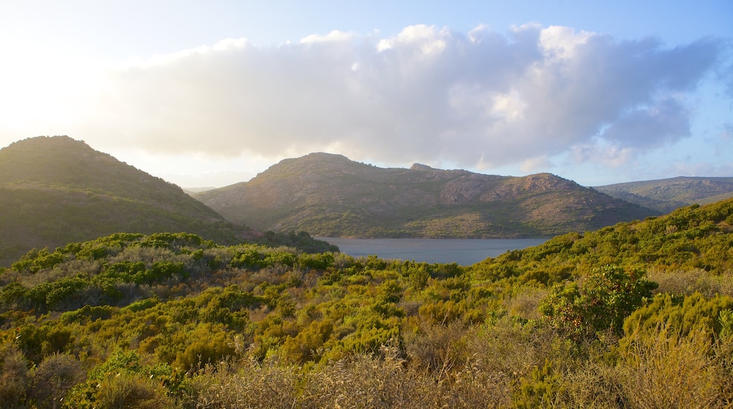 Corsica del sud mostrando vista del paesaggio