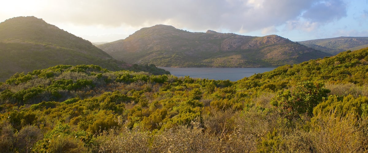 Córcega del Sur ofreciendo vistas de paisajes