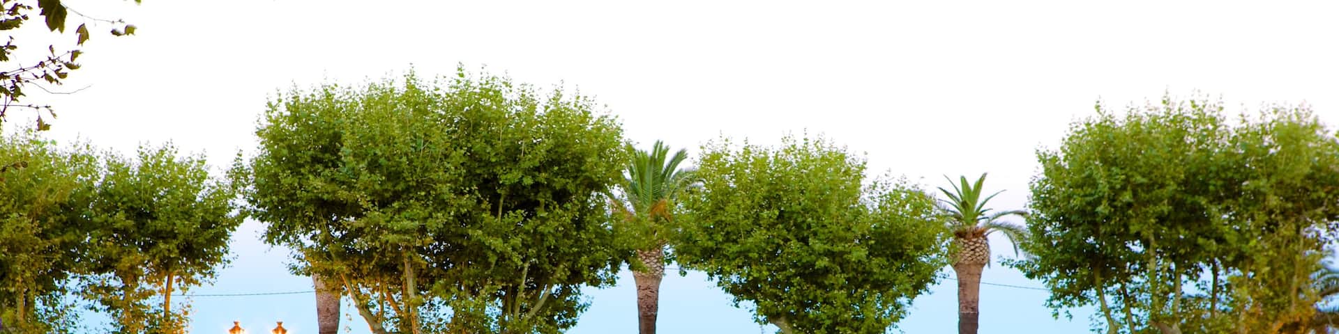 Place St-Nicolas as well as a couple