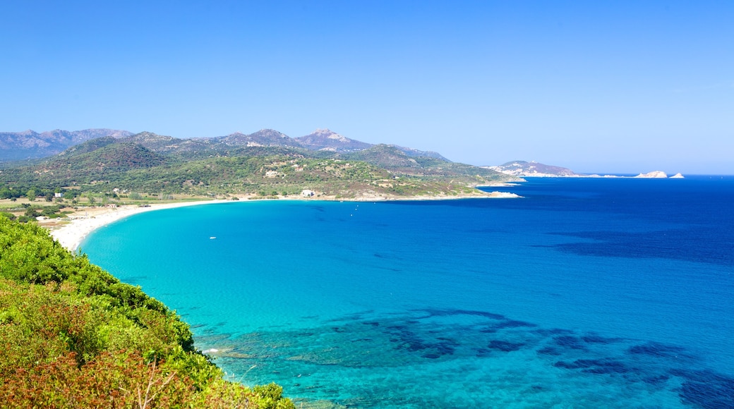 Calvi presenterar kustutsikter