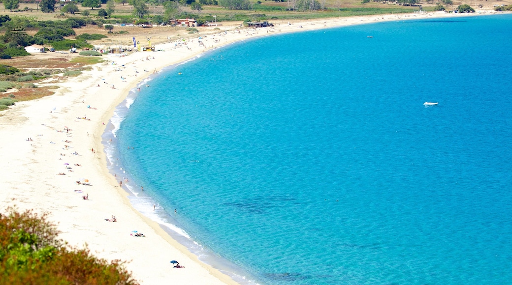 Calvi showing a sandy beach