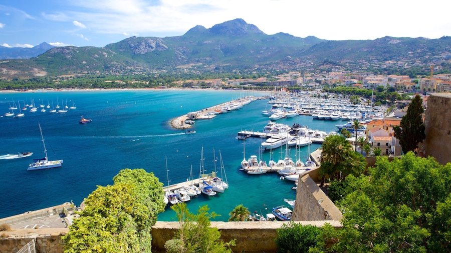 Chapelle de Notre Dame de la Serra showing a coastal town and a marina
