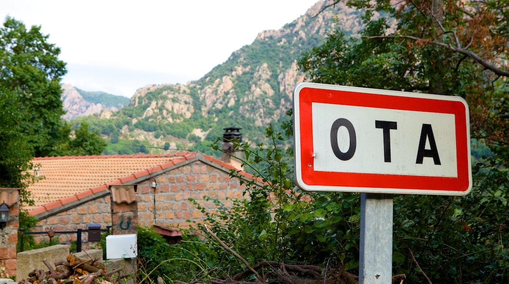 Ota que inclui sinalização e uma casa