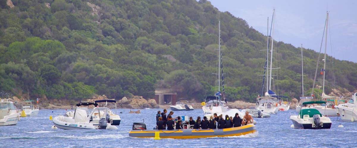 Belvedere-Campomoro mostrando paseos en lancha y una bahía o puerto y también un gran grupo de personas