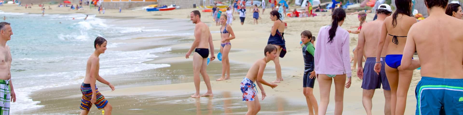 Belvedere-Campomoro showing a sandy beach as well as a large group of people